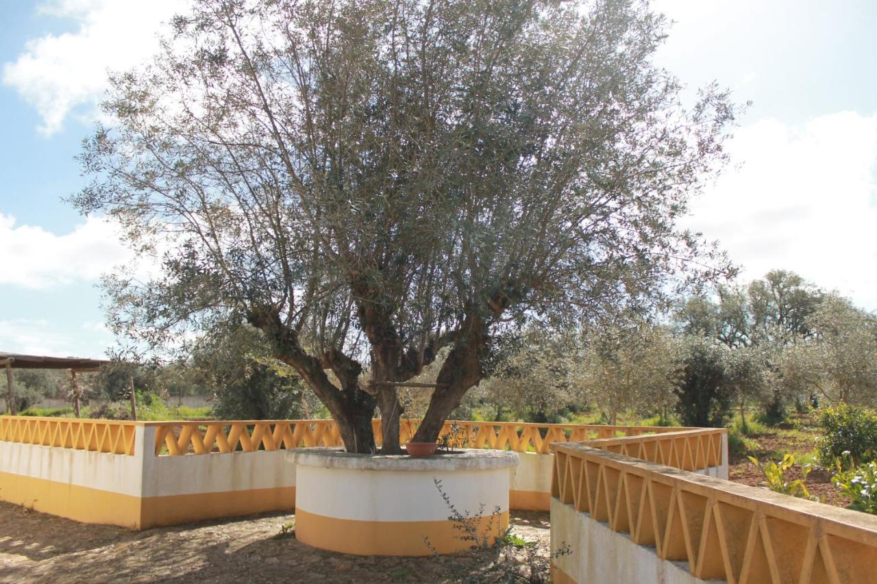 Montinho Do Palanque Villa Viana do Alentejo Luaran gambar
