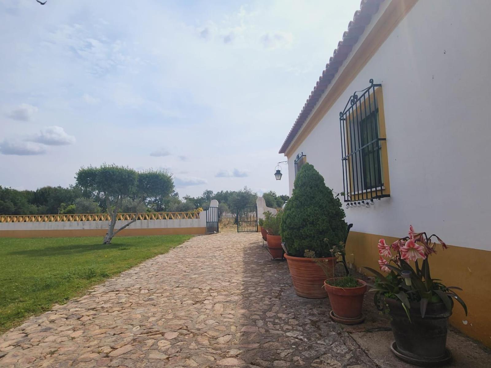 Montinho Do Palanque Villa Viana do Alentejo Luaran gambar
