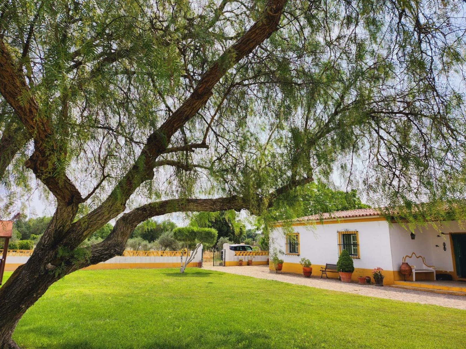 Montinho Do Palanque Villa Viana do Alentejo Luaran gambar