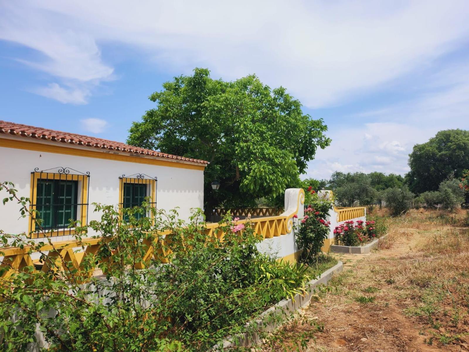 Montinho Do Palanque Villa Viana do Alentejo Luaran gambar
